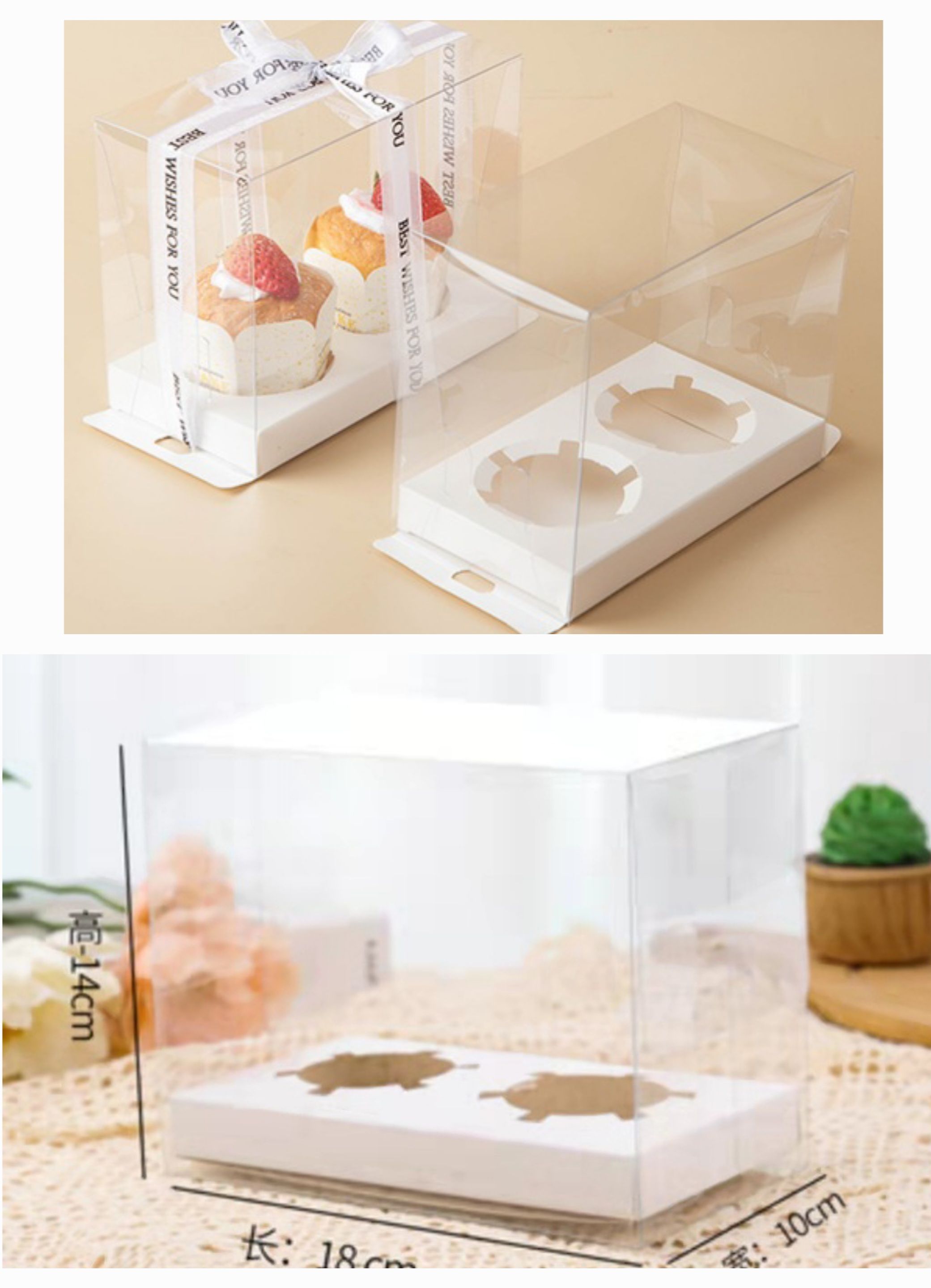2 Hole Transparent Imported Cup Cake Boxes (14 cm Height)