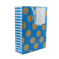 Paper Bag Printed White Space Given For Writing - Pack of 10