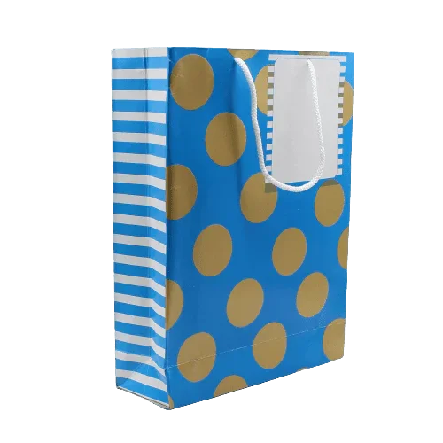 Paper Bag Printed White Space Given For Writing - Pack of 10